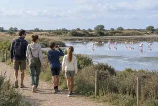 Famille sur un sentier au bord d’un étang de Camargue où se nourrissent des flamants roses, un enfant observe aux jumelles